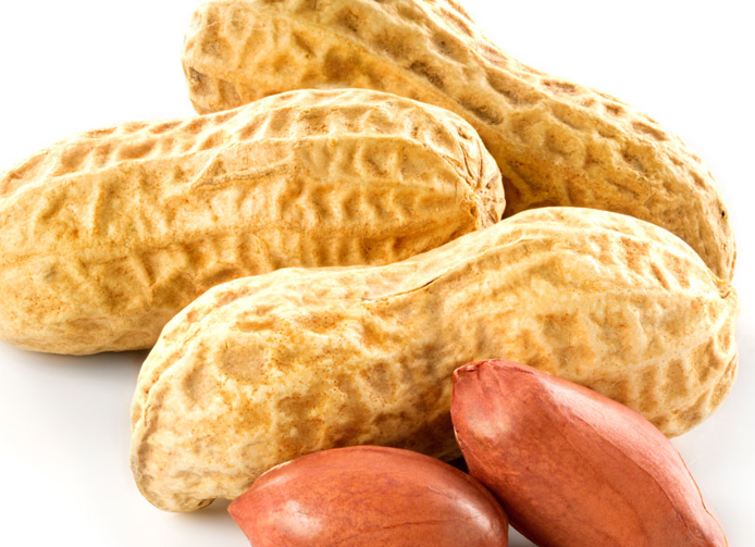 麻屋子红帐子白胖子分别指什么