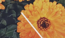 如何把图片变成黑白的