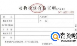 小动物托运怎么办理