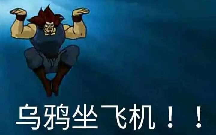 乌鸦坐飞机是什么梗