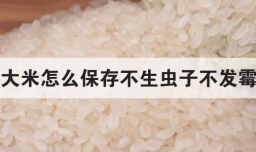 大米怎么保存不生虫子不发霉