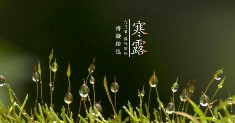 寒露节气的含义