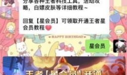 王者荣耀星会员怎么找