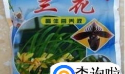 兰花叶子发黄、发黑怎么办