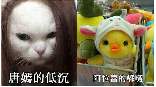 马思纯的微笑是什么梗