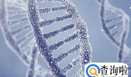 新生儿湿疹的诱发原因有哪些？