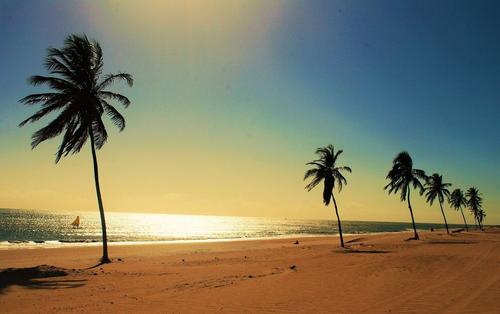 beach是什么意思