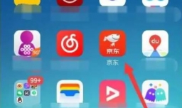 京东如何查看自己的白条额度