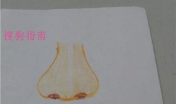 怎么画鼻子的简笔画