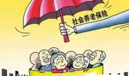 如何区分职业年金和养老保险