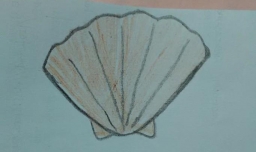 贝壳简笔画怎么画