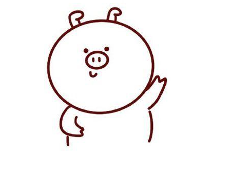 小猪简笔画