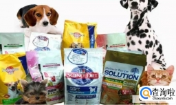 宠物用品行业现在发展的怎么样