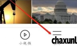 黑鲨浏览器如何开启网页手势缩放