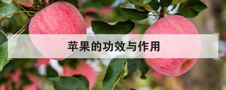 苹果的功效与作用br