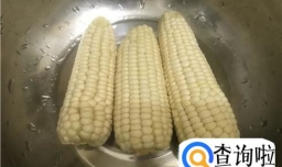 羊驼吃什么食物
