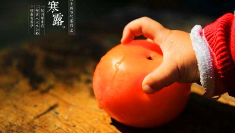 寒露节气的含义