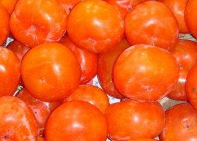 吃柿子有什么好处