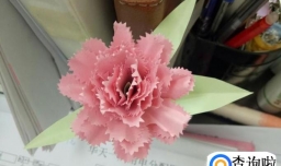 如何用卡纸制作一朵漂亮的康乃馨