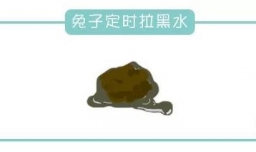 兔子拉肚子拉稀腹泻的治疗方法