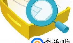 专利申请进度怎么查询？