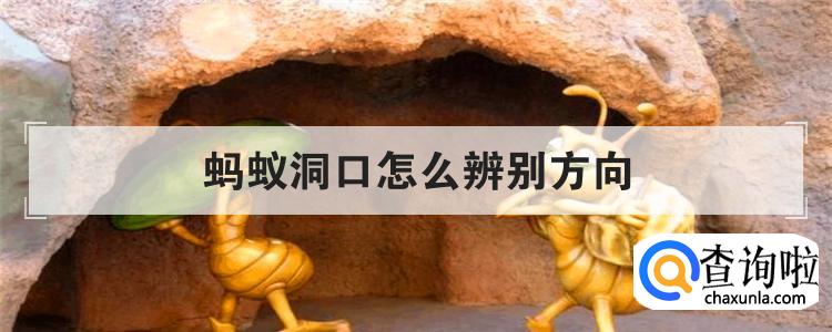 蚂蚁洞口怎么辨别方向