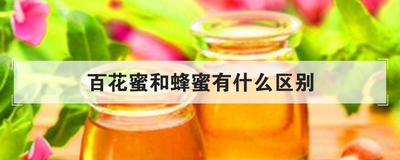 百花蜜和蜂蜜有什么区别