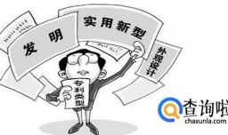 专利独占许可的办理流程是怎样的？