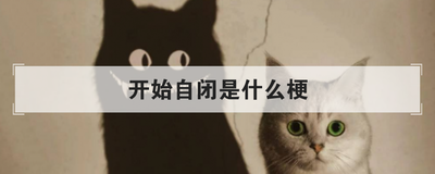 开始自闭是什么梗