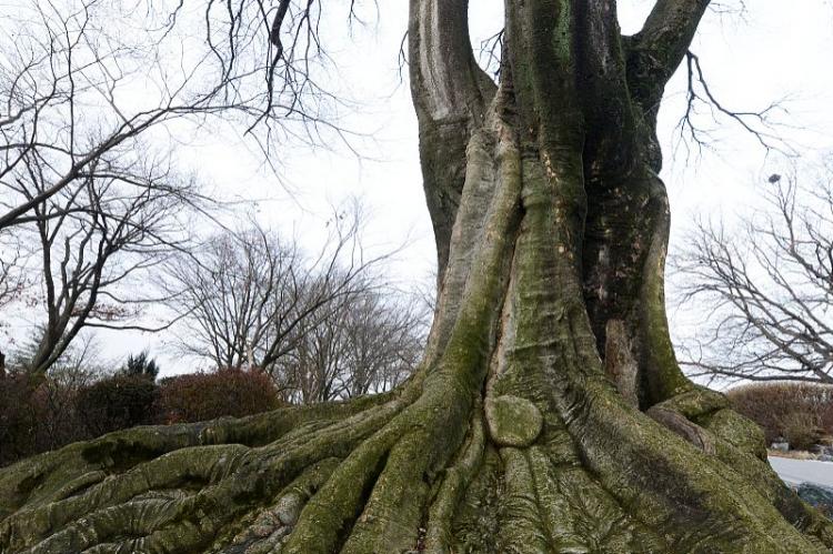 十年树木百年树人什么意思