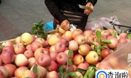 2023年关将近卖什么水果好