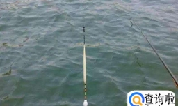 钓鱼漂怎么判断鱼上钩