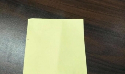 幼儿折纸--企鹅的折法