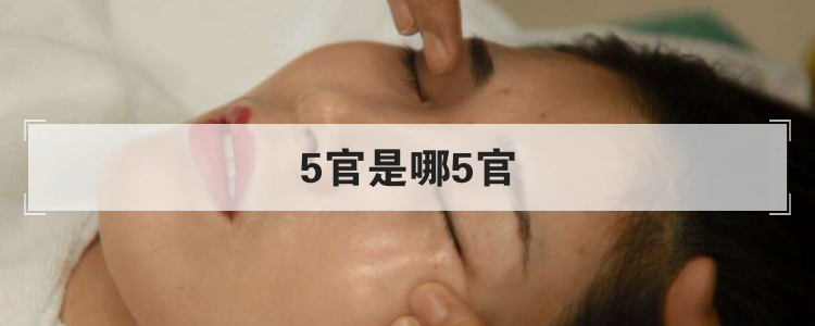 5官是哪5官