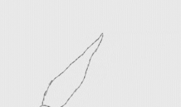 素描大白菜简笔画