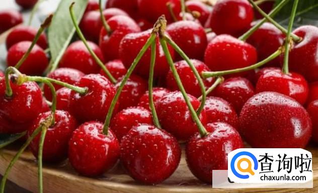 狗狗不能吃哪些水果