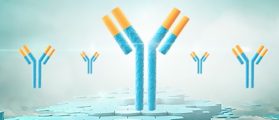 lgm阳性是什么意思