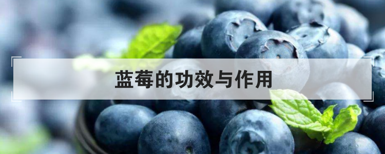蓝莓的功效与作用