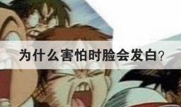 为什么害怕时脸会发白