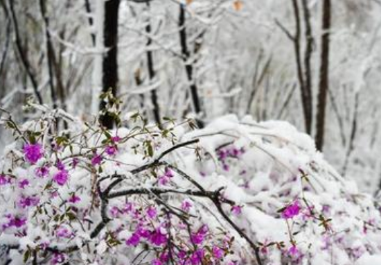 雨雪冰雹是怎么形成的