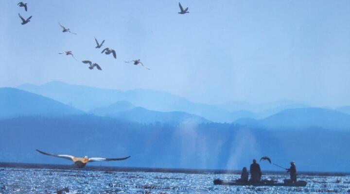 天高任鸟飞的意思是什么？