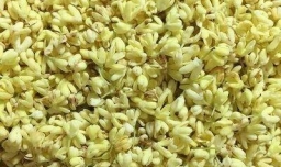 怎样自己DIY桂花糖？