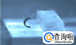 揭秘德国研发的微型机器人