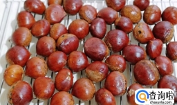 板栗怎么储存最好