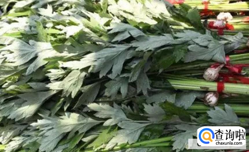 端午节几点钟挂艾草好