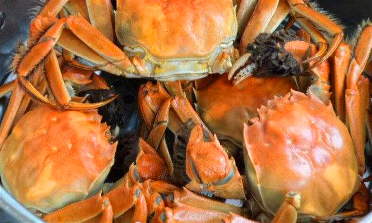 河蟹不能和什么一起吃