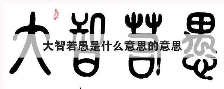 大智若愚是什么意思的意思