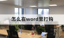 怎么在word里打钩