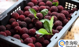 冰镇杨梅的做法