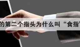 手的第二个指头为什么叫食指